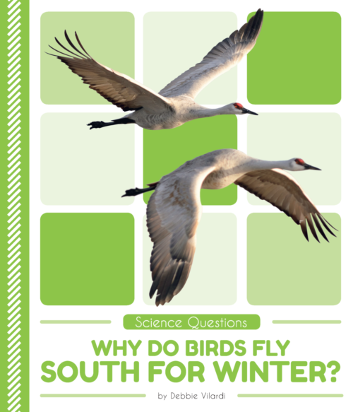 Why Do Birds Fly South for Winter?