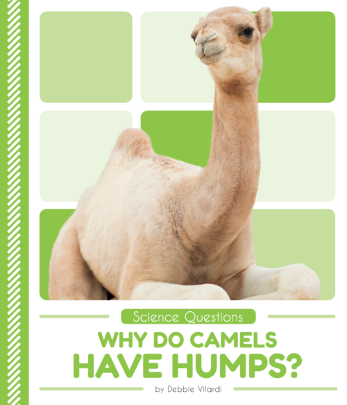 Why Do Camels Have Humps?